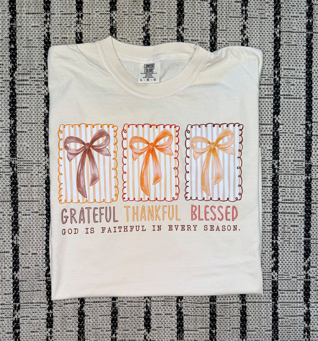 Grateful Thankful Blessed Graphic T-shirt (S-3X)